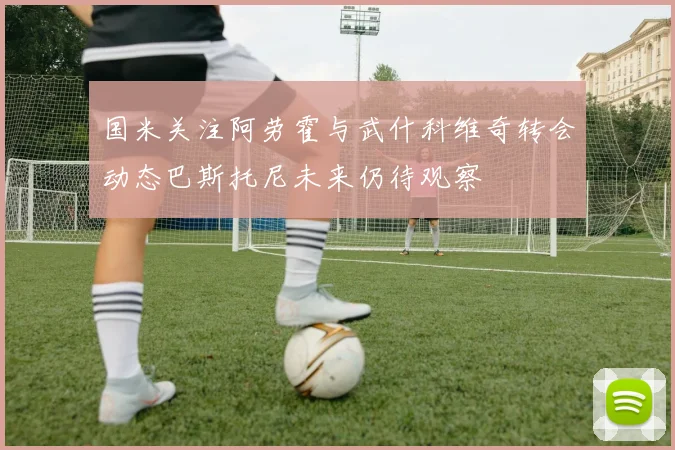 国米关注阿劳霍与武什科维奇转会动态巴斯托尼未来仍待观察